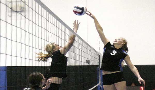 Why choose volleyballs even if you are short
